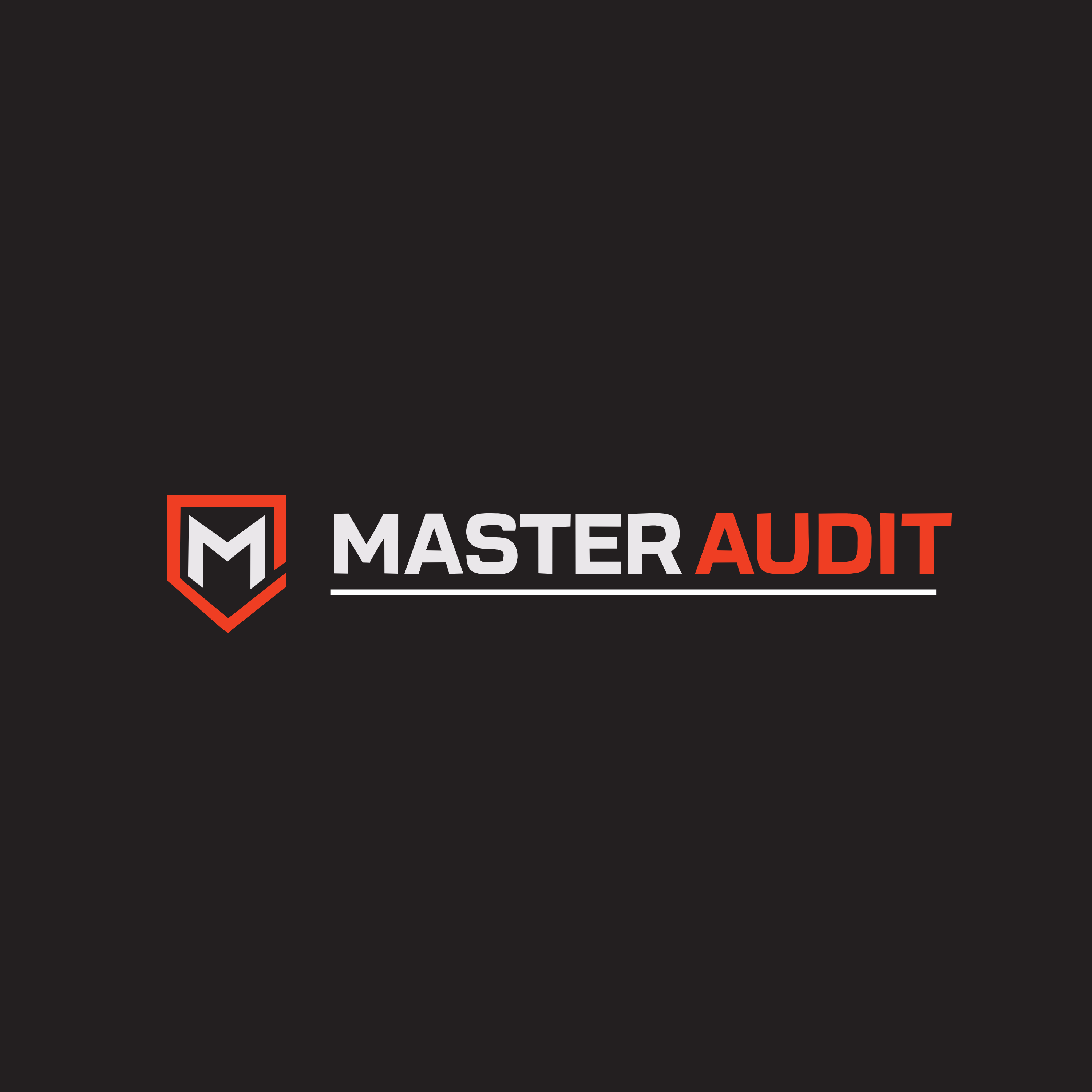 Master Audit Sp. z o.o.