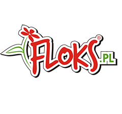 Floks